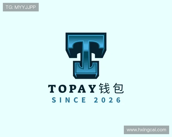 解读TOPAY钱包